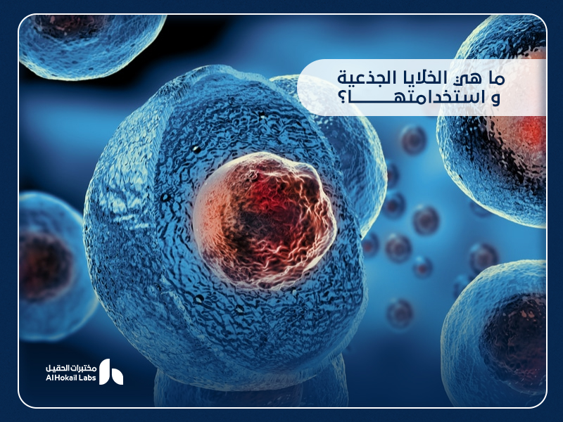 الخلايا الجذعية واستخداماتها: مستقبل الطب الحديث من مختبرات الحقيل
