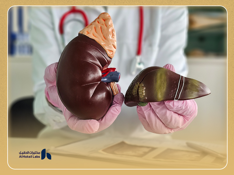 أنواع اختبارات وظائف الكبد والكلى المتوفرة