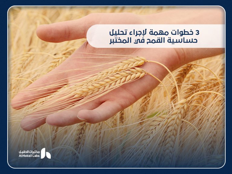 حساسية القمح (السيلياك): الأعراض، التحاليل، والتشخيص الدقيق في مختبرات الحقيل